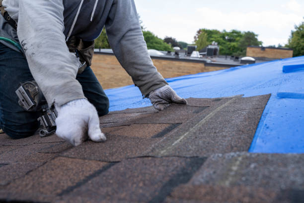 Best Roof Gutter Cleaning  in Natchez, MS