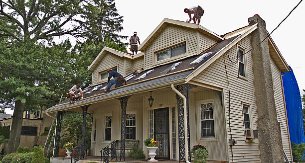 Best Metal Roofing Contractor  in Natchez, MS